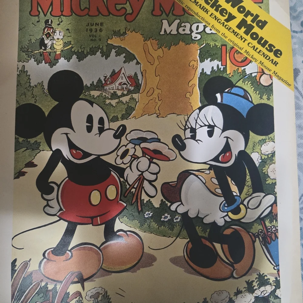 N/A vintage mickey